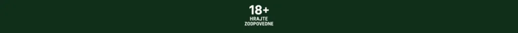 Casiniaspinmaster radí aby ste hrali zodpovedne