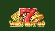 Wild Hot 40